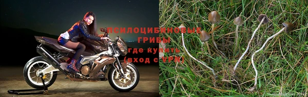 эйфоретик Алексин