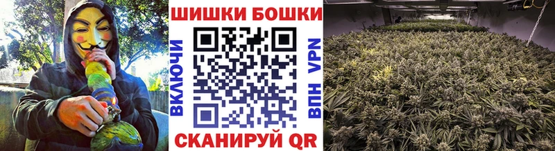 Бошки Шишки план  Лысьва 